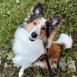 Meet your Posher, Sara